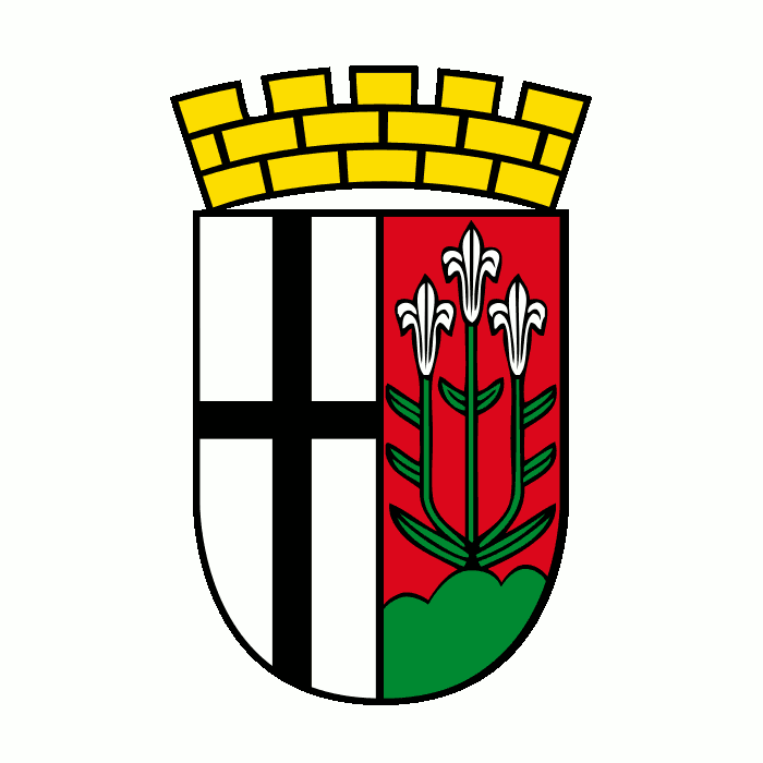 Badge of Fulda