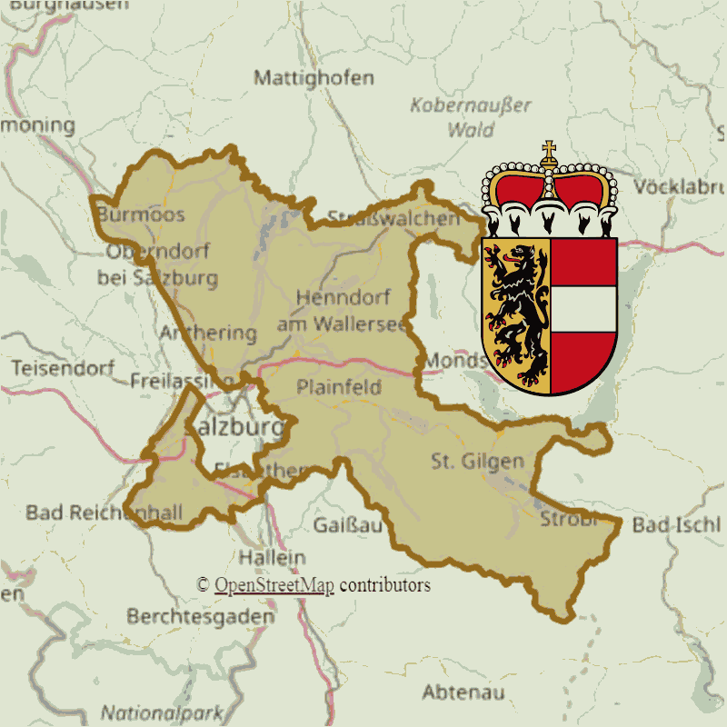 Badge of Bezirk Salzburg-Umgebung