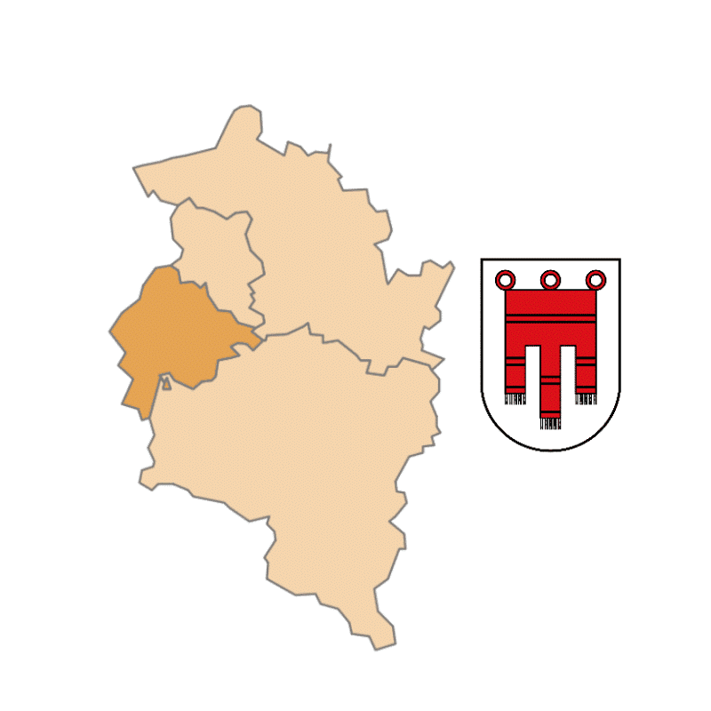Badge of Bezirk Feldkirch