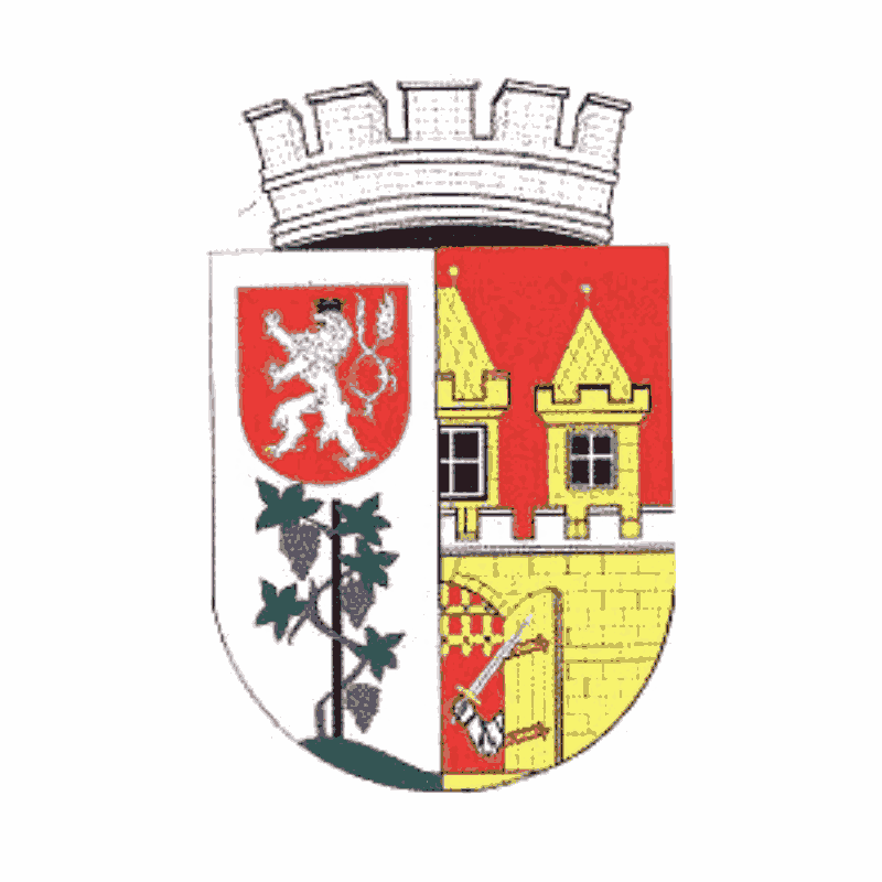 Badge of Nusle