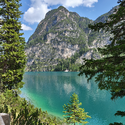 Thumbnail of HaraldLegner-35