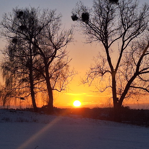 Thumbnail of gemslein-34